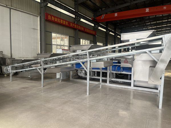牛落地式白臟衛(wèi)檢輸送機(jī)